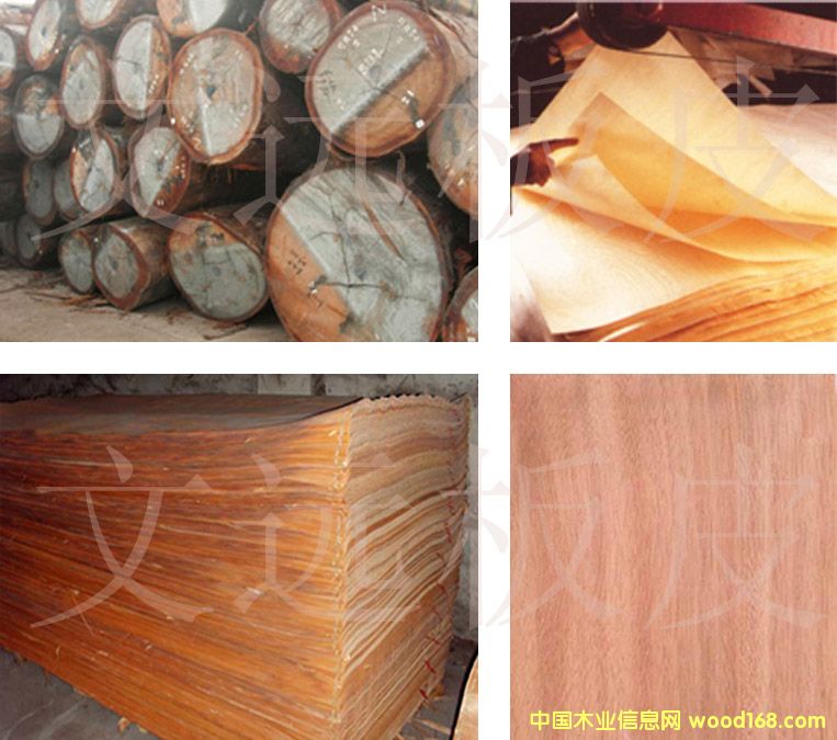 չʾ��Ԕ����B