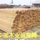 ��ľ���ϵ�Ԕ����B