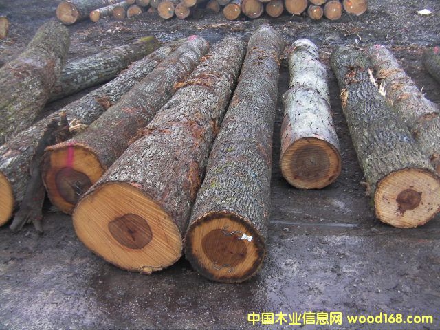 ɽ���ҵ�Ԕ��(x��)��B