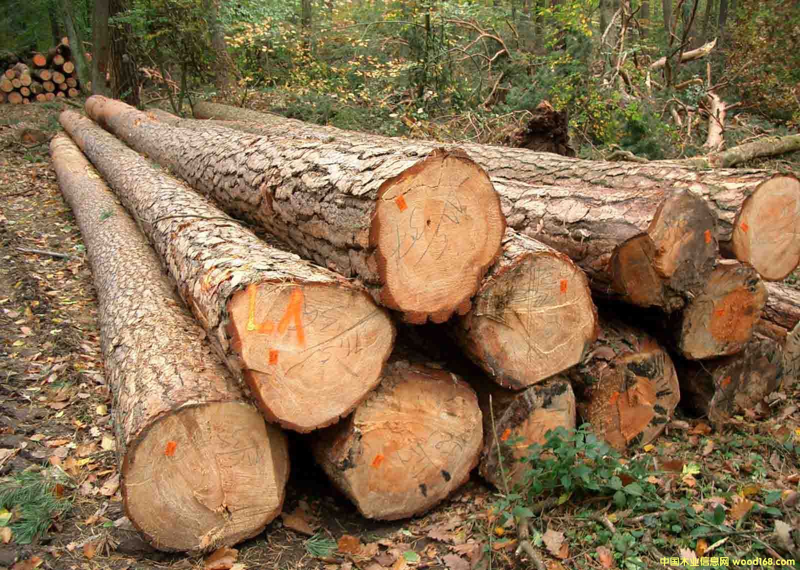 ��(gu��)�ɵ�Ԕ��(x��)��B