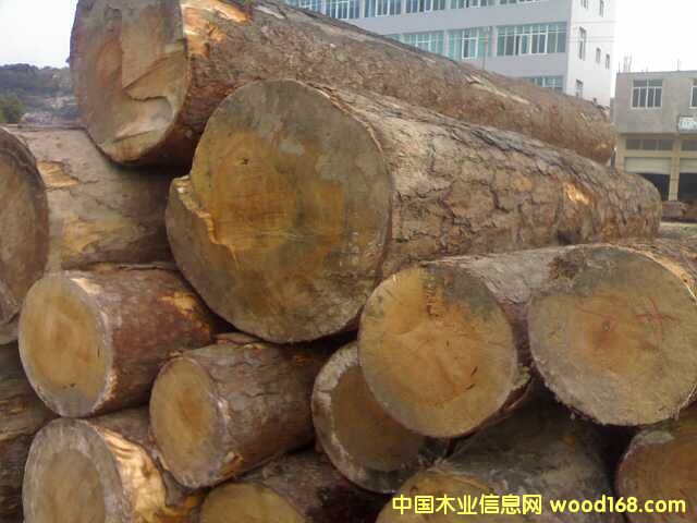 ��ڏ�Խ����ľ