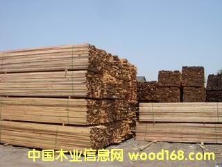 �M(j��n)�ڻ�����ľ����ľ��