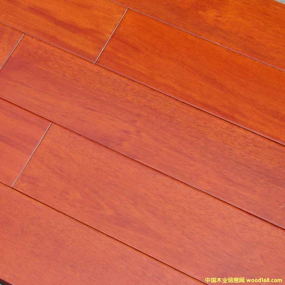 �һ�о��ľ�ذ�