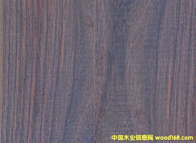 ӡ����֦�ذ�����