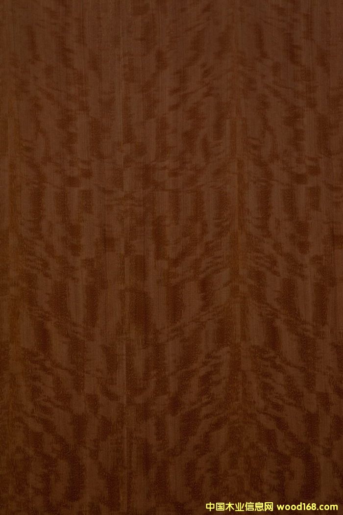 ������Ӱ