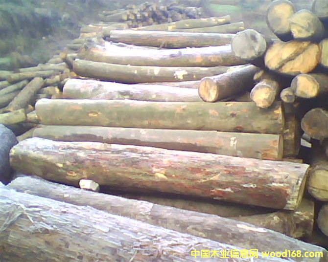 �ӹ��S������Ԕ����B