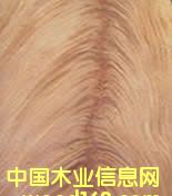 ����(y��ng)��(sh��)�