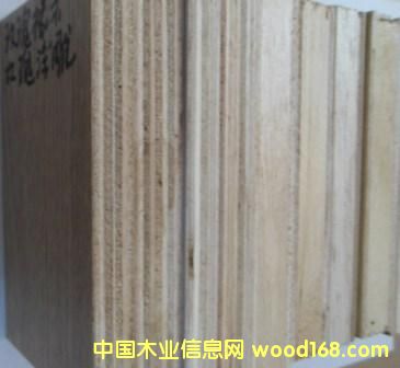 ��(x��)ľ�����Ӱ��N������