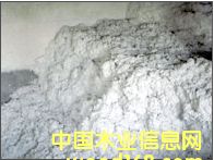 ľ�|(zh��)���w�S