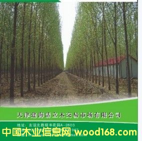 �o������Ԕ����B