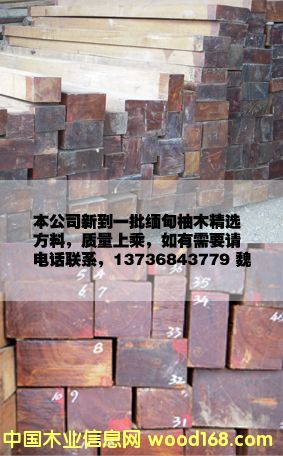 ������ľ����