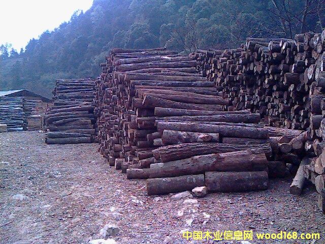 �ΰ��Ԕ��(x��)��B