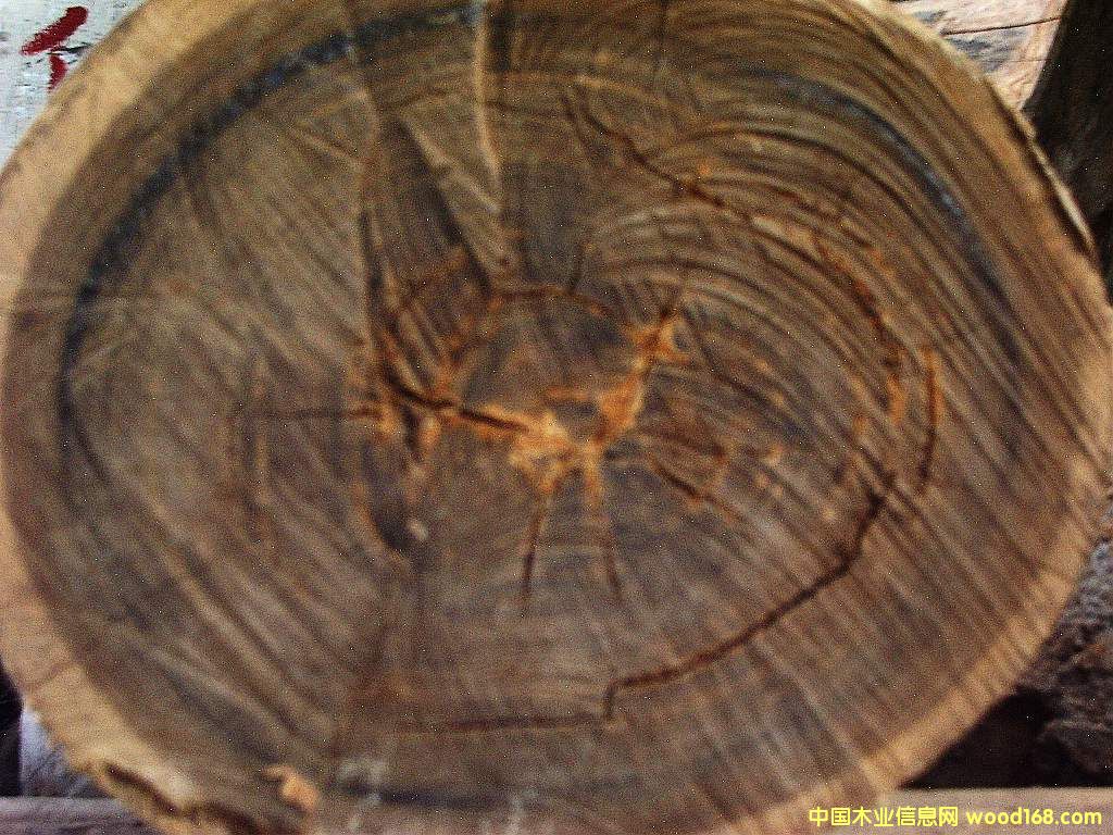 �G̴����/���/ԭ�ĵ�Ԕ��(x��)��B