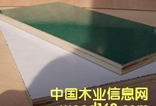 ��Ĥ���Ԕ����B