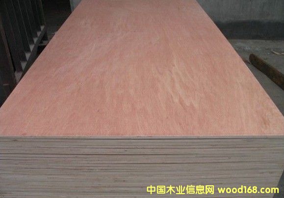 �W�������ľо�z�ϰ��Ԕ����B