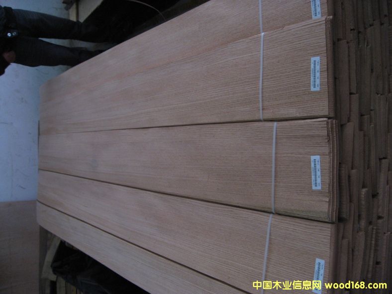 �t���Ԕ��(x��)��B