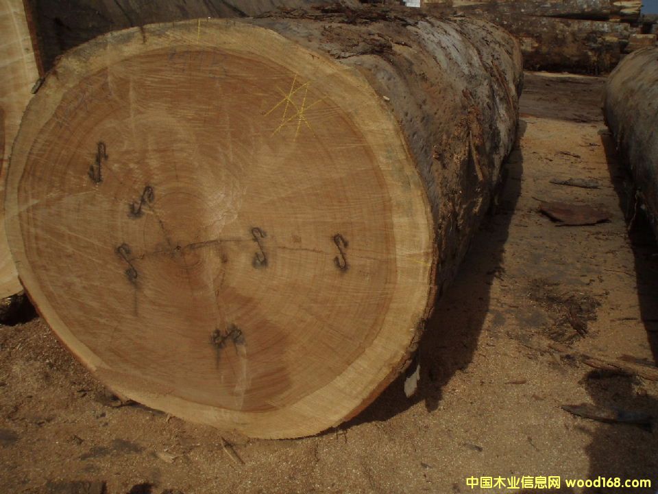 ��ľԭľ��ķ���ľ��Ԕ����B