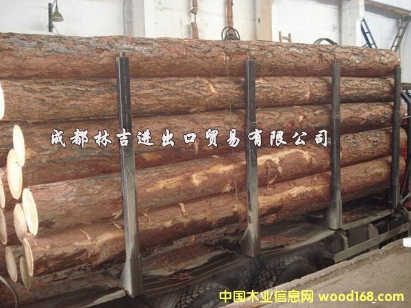 ������ԭľ