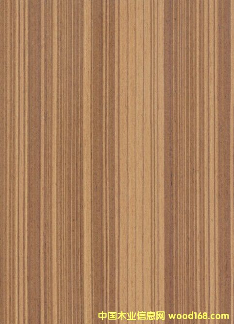 teak# 104��Ԕ����B