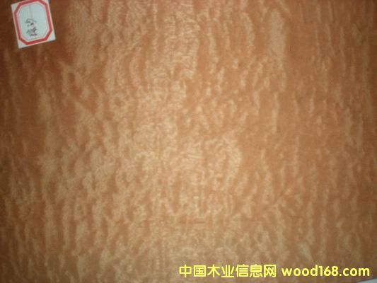 ��Ӱɳ������Ԕ��(x��)��B