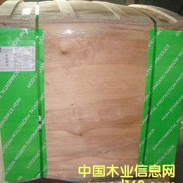 ��ľ��������Ԕ��(x��)��B