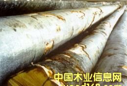 ɽë��ԭľ��Ƭ��Ԕ��(x��)��B