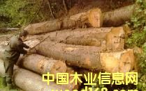 ����ľ��Ƭ��Ԕ��(x��)��B