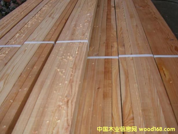 �ذ�����