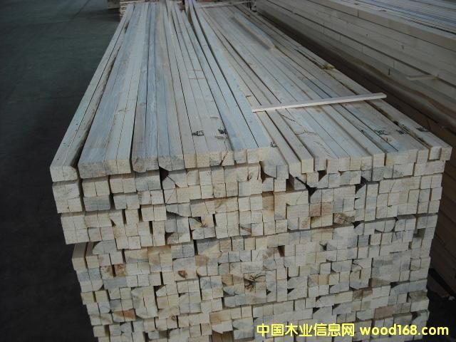 spf����ľ�l