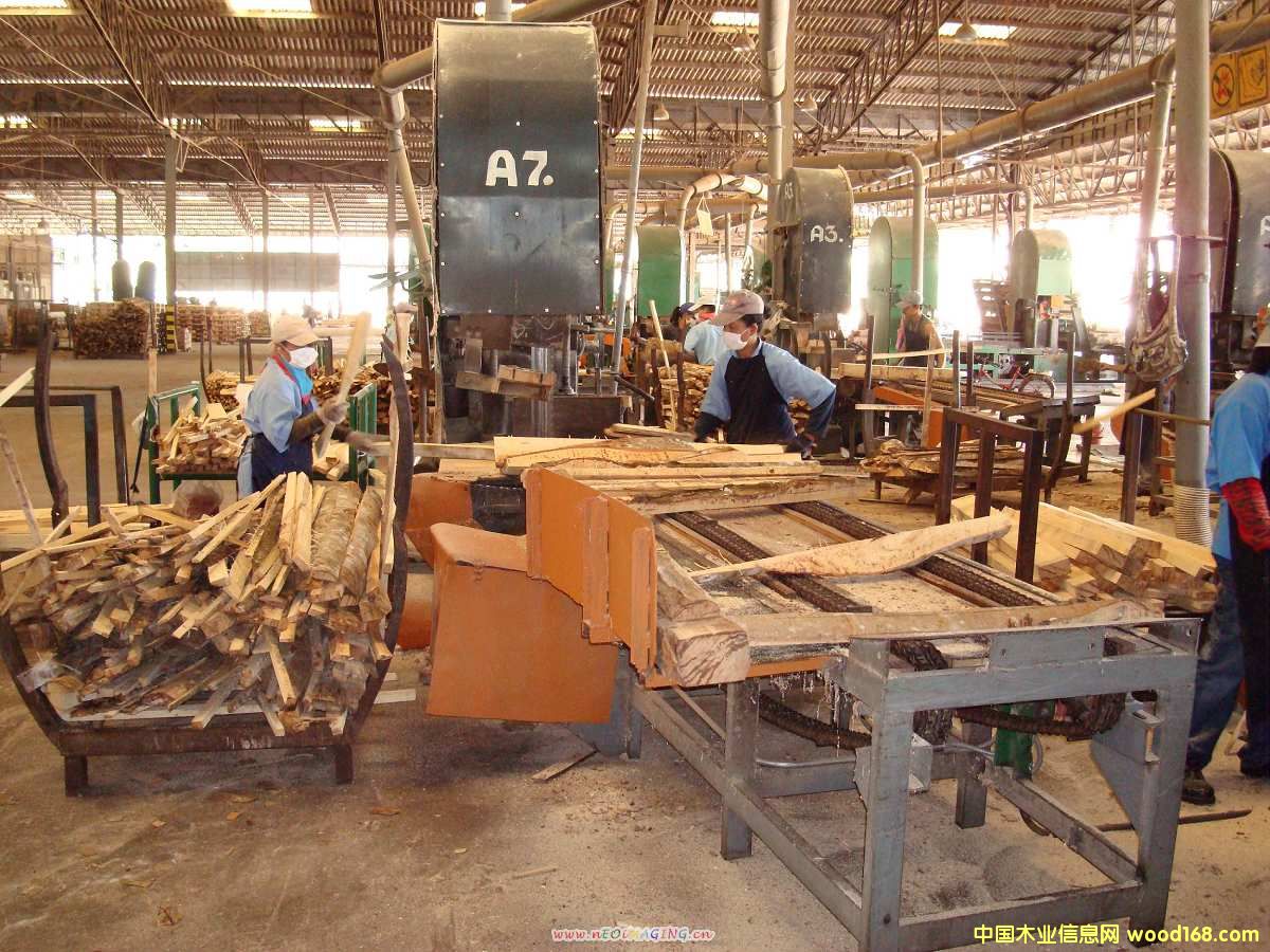 ������ԭľ�M��