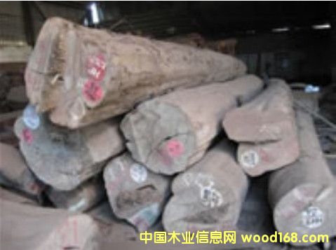 ������ľ��Ԕ����B