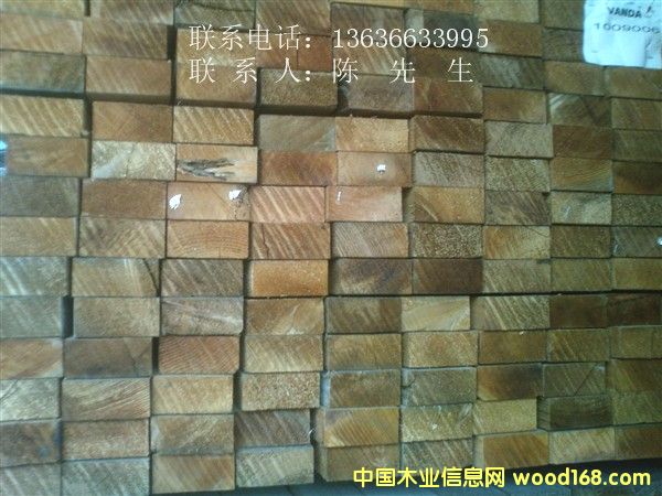 �����tѩ��