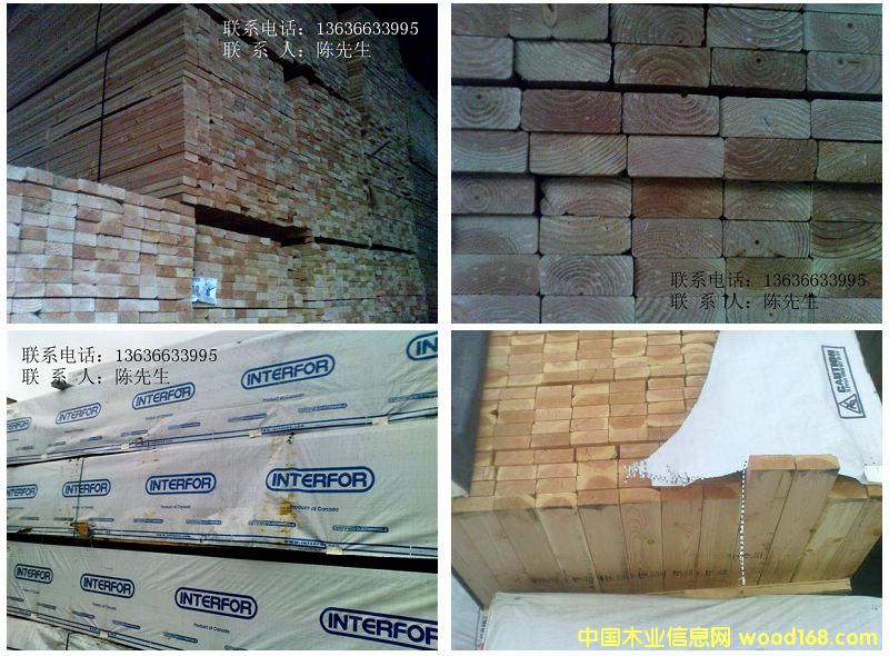 �����ɰ����ľ��