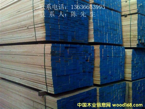 ����(y��ng)�Fɼ���