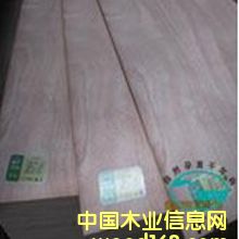 ��������о���Ӱ�E1��Ԕ��(x��)��B