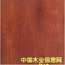 �tõ�� ����