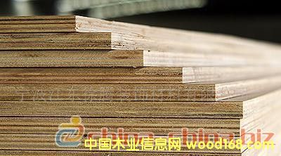 ��(x��)ľ�����Ԕ��(x��)��B