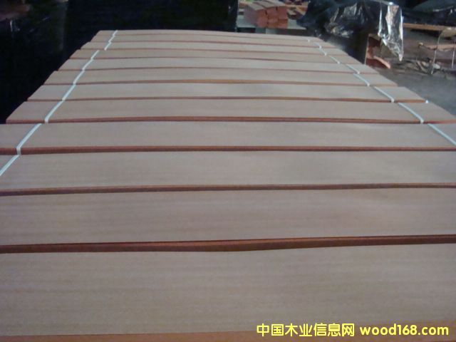 ɳ�����ذ�ľƤ