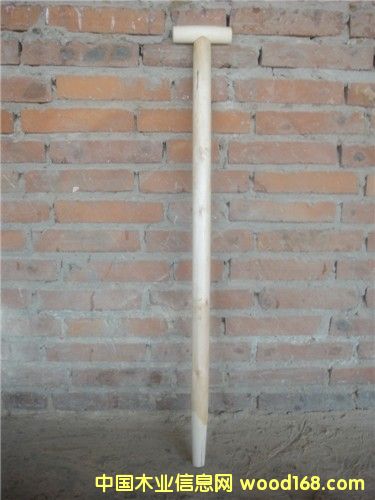 ��ľ���ְ�