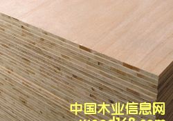 ��ľ����