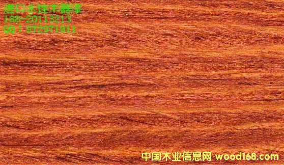 ľ���� ˮ��ľ���� ľ������