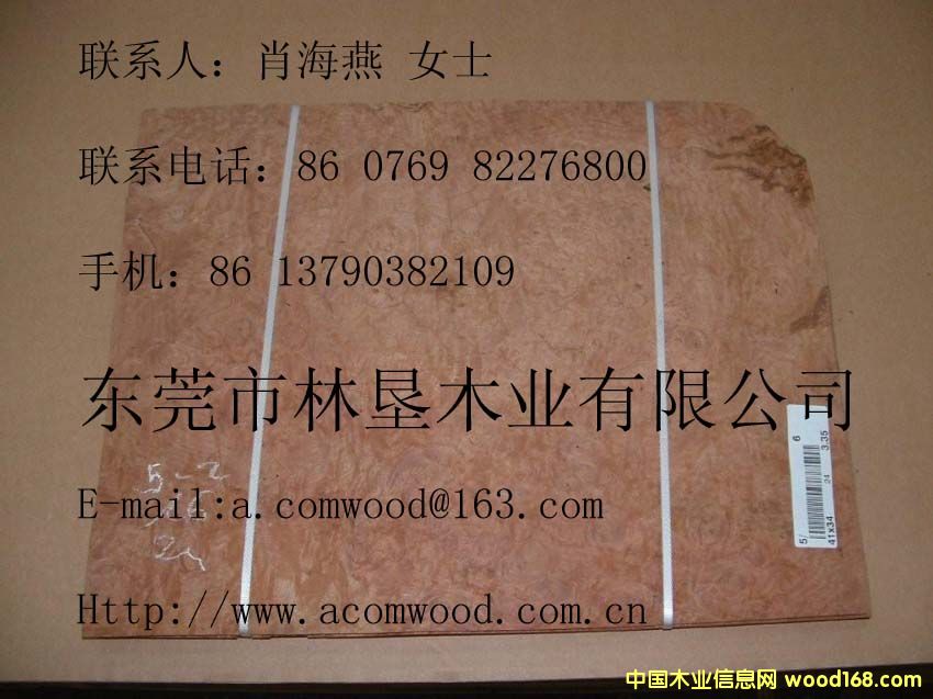 ����(d��ng)�Ș�(sh��)��