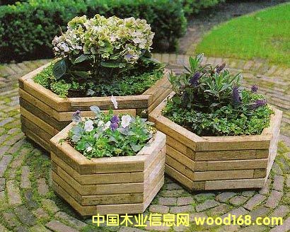 ����ľ��Ʒ-����