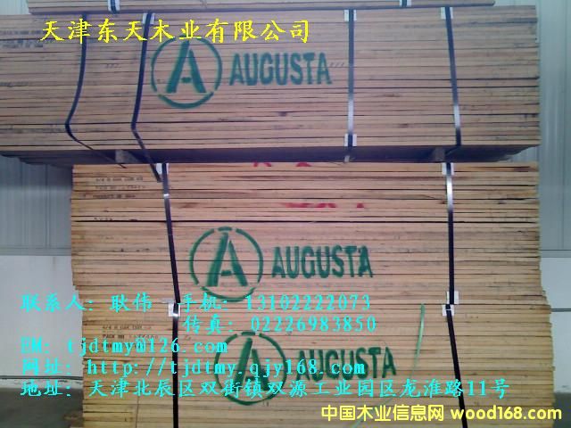 �����t��