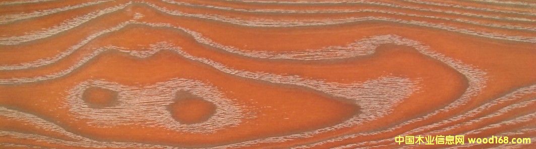 ͬ���t̴��Ԕ����B