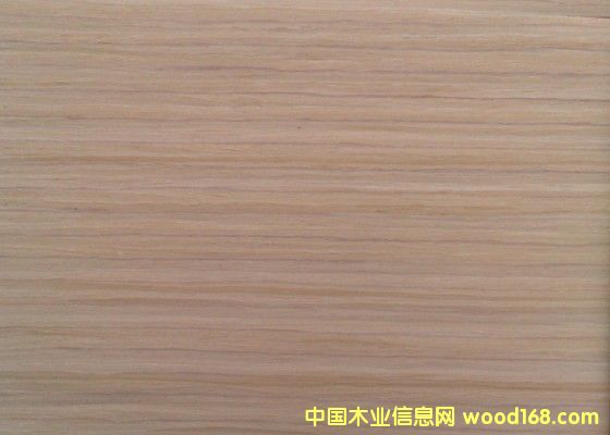 ���ټҾ�ľƤ