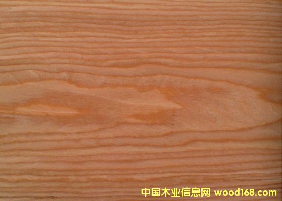 ����(gu��)����