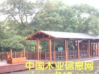 ��ľ���ܛ�ͤ