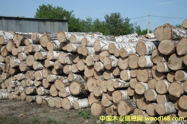 ���_˹�ט�1