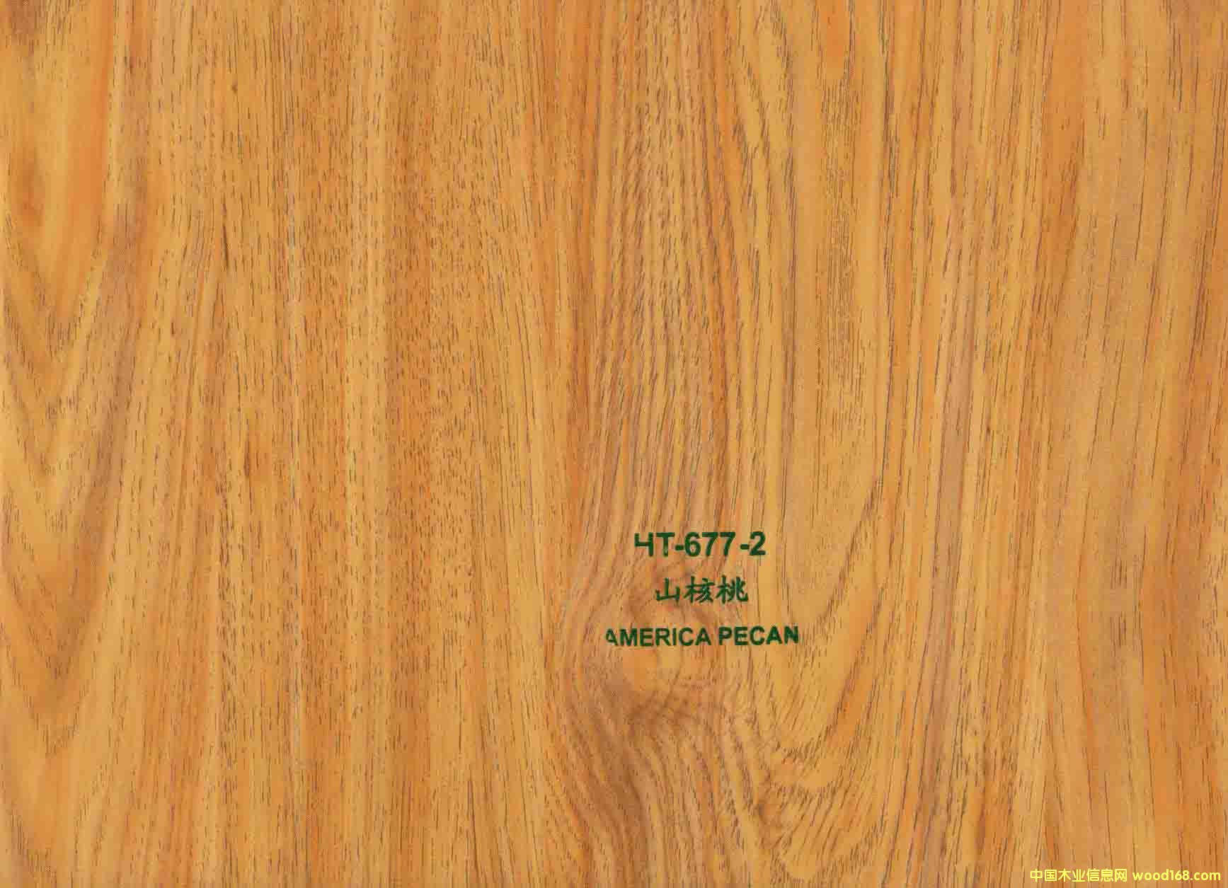 ����ľľ�y��